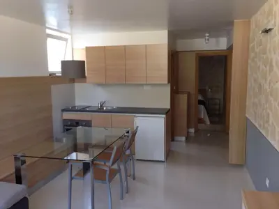 Kuhinja ili čajna kuhinja u objektu Bila Vila Apartments