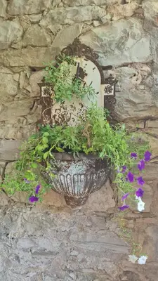 Vrt u objektu Wine Garden old apartment with large terrace