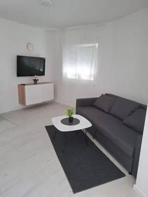 TV i/ili zabavni centar u objektu Monami Apartman Charlie