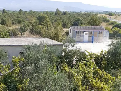 Priroda u blizini apartmana