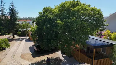 Priroda u blizini vikendica