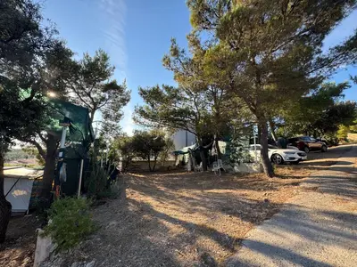Priroda u blizini kampova