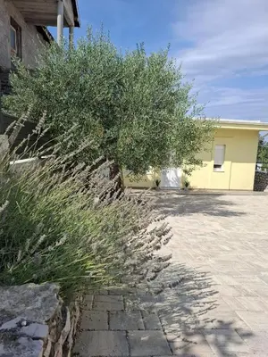 Zgrada u kojoj se nalazi apartman
