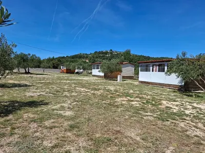 Priroda u blizini kampova