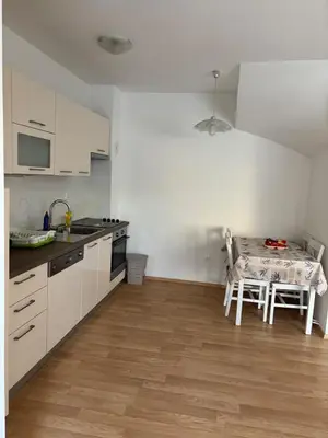 Kuhinja ili čajna kuhinja u objektu Adria