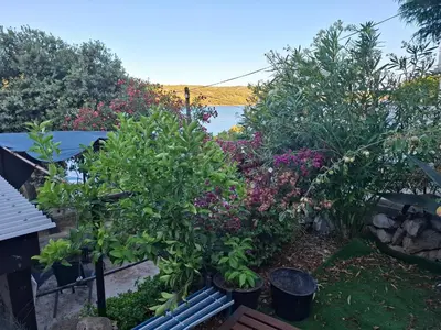 Priroda u blizini kampova