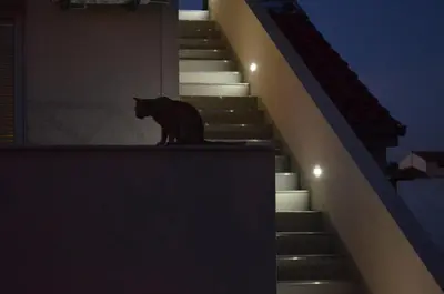 Ljubimac ili ljubimci u objektu Apartments Tomas