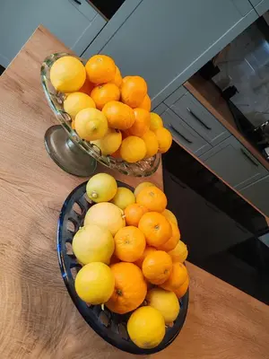 Hrana u vili ili u blizini