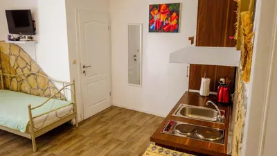 Kuhinja ili čajna kuhinja u objektu Sibenik City Center Apartment