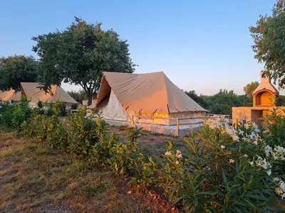 Priroda u blizini kampova