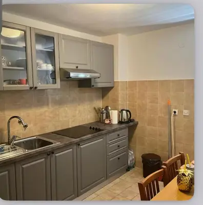 Kuhinja ili čajna kuhinja u objektu Apartman Škalabrin 1