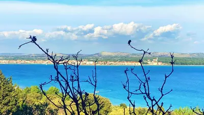 Priroda u blizini vila