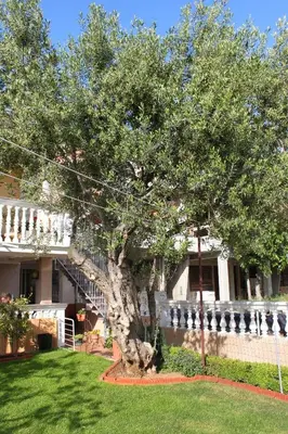 Vrt u objektu Apartment Vodice 6271c