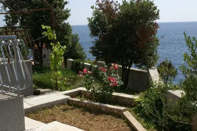 Priroda u blizini apartmana