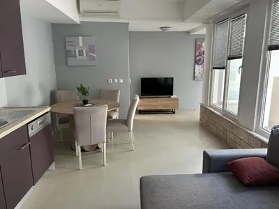 TV i/ili zabavni centar u objektu Apartment Milica