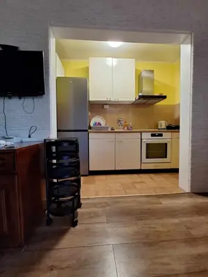 Kuhinja ili čajna kuhinja u objektu Apartman Juran