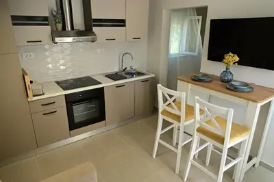 Kuhinja ili čajna kuhinja u objektu Apartment ART Murter