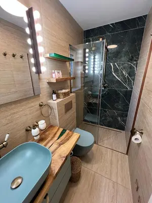 Kupaonica u objektu Casa Žabka 1