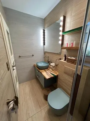 Kupaonica u objektu Casa Žabka 1