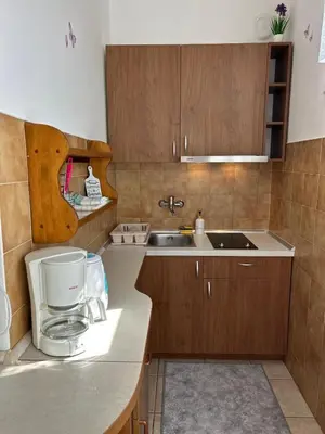 Kuhinja ili čajna kuhinja u objektu Apartments Raste