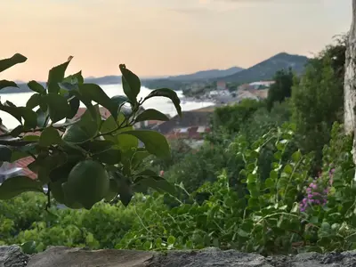 Priroda u blizini apartmana