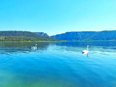 Priroda u blizini vikendica