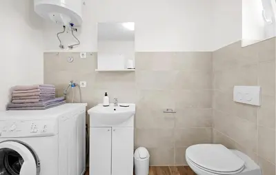 Kupaonica u objektu Cozy Apartment In Dragisici With Wifi