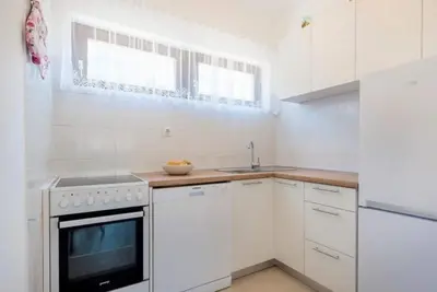 Kuhinja ili čajna kuhinja u objektu Apartments Senka