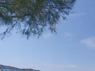 Priroda u blizini apartmana