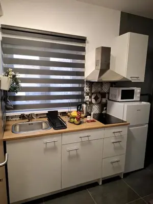 Kuhinja ili čajna kuhinja u objektu Apartmani Jambriško Pirovac