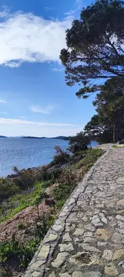 Priroda u blizini apartmana