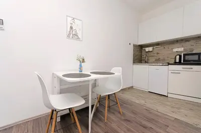 Kuhinja ili čajna kuhinja u objektu Apartments Darinka
