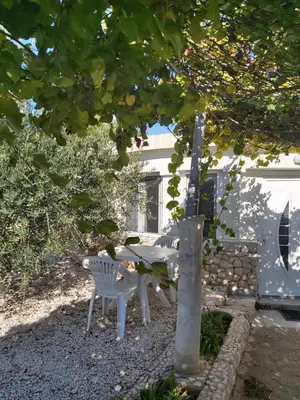 Ljubimac ili ljubimci u objektu Little Seafront House Dolac Primošten