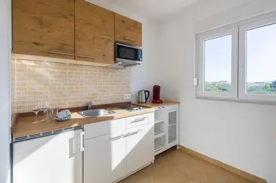 Kuhinja ili čajna kuhinja u objektu Apartments Gornje Starine