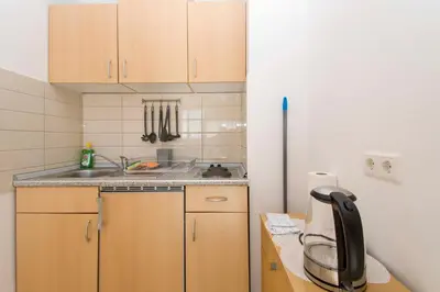Kuhinja ili čajna kuhinja u objektu Apartments Milenko
