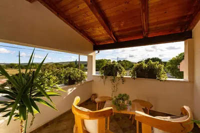 Balkon ili terasa u objektu My Dalmatia - Villa Marijana with private pool