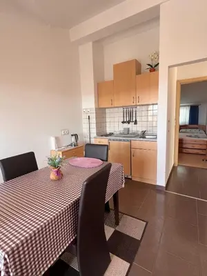 Kuhinja ili čajna kuhinja u objektu Apartmani Ivić