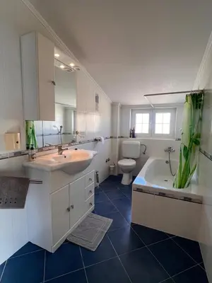 Kupaonica u objektu Apartmani Ivić