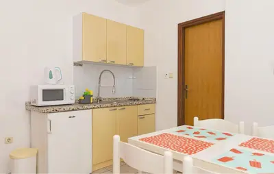 Kuhinja ili čajna kuhinja u objektu 1 Bedroom Amazing Apartment In Pirovac