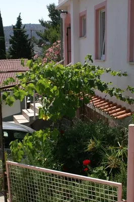 Vrt u objektu Apartments by the sea Rogoznica - 4186