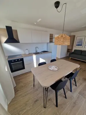 Kuhinja ili čajna kuhinja u objektu Apartmani Tribunj Cvitan