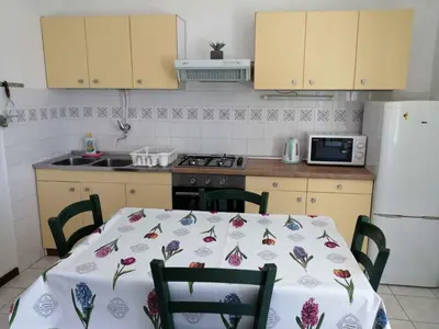 Kuhinja ili čajna kuhinja u objektu Apartment in Primosten - Sibenik Riviera 35598
