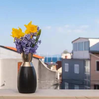 Apartment Lena city center near beach
