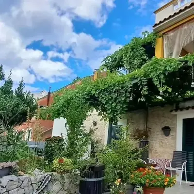 Apartment Vintage Dalmatia Stay