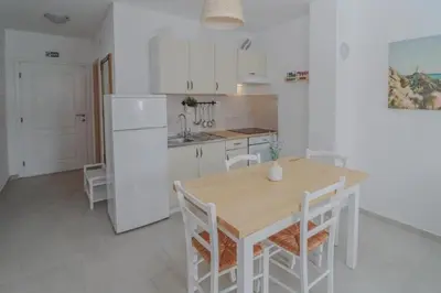 Kuhinja ili čajna kuhinja u objektu Apartments with swimming pool Brodarica - Sibenik - 25027
