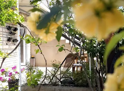 Vrt u objektu Studio Apartment Marijana A3