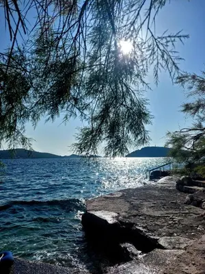 Priroda u blizini apartmana