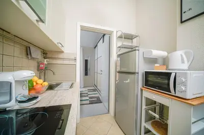 Kuhinja ili čajna kuhinja u objektu Apartman Angie suit