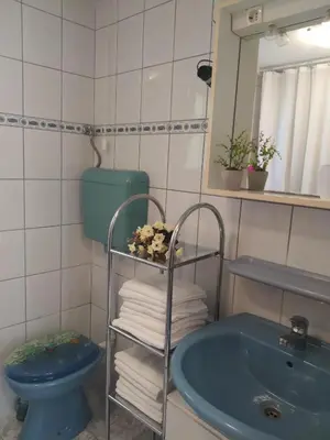 Kupaonica u objektu Holiday Home Milenka