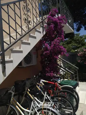 Vožnja biciklom pokraj objekta Holiday Home Milenka ili u blizini